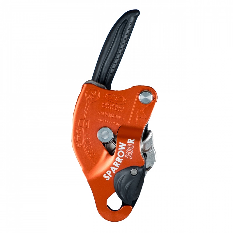 CLIMBING - TECHNOLOGY sparrow for sale at